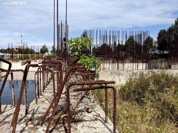 "Việc Bệnh viện Đa khoa tỉnh Quảng Ngãi không cho phép chủ đầu tư vay vốn theo như hồ sơ 2 bên trình chủ trương đầu tư ban đầu khiến dự án phải dừng triển khai vì đã hết vốn", ông Đức nói với VTC News. (Ảnh: VTC News).