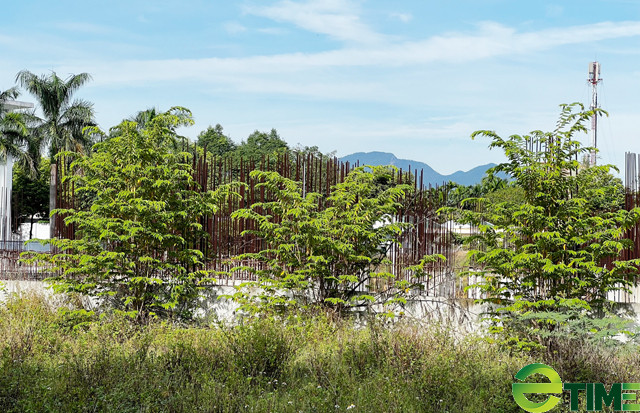 Nhiều cọc bê tông lòi rỉ sét, xung quanh cỏ dại mọc um tùm trông rất nhếch nhác. (Ảnh: Etime).