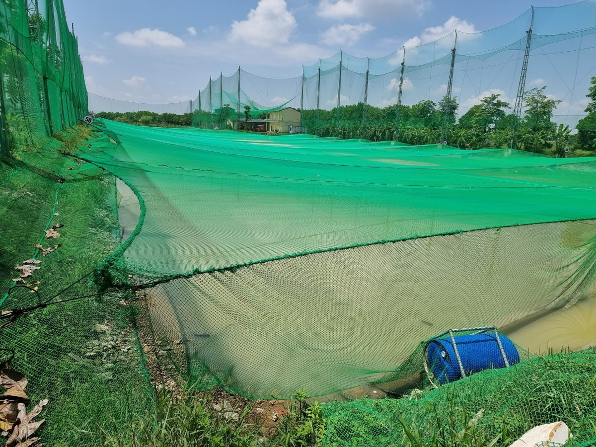 Tuy nhiên, trên khu đất thực hiện dự án nuôi cá rô phi Israel công nghệ cao đã “mọc” thêm một số hạng mục phục vụ mục đích vui chơi giải trí, trong đó có khu vực dựng 7 kỳ quan thế giới còn có sân tập golf… (Ảnh: Lao Động).