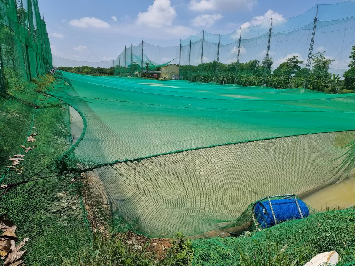 Tuy nhiên, trên khu đất thực hiện dự án nuôi cá rô phi Israel công nghệ cao đã “mọc” thêm một số hạng mục phục vụ mục đích vui chơi giải trí, trong đó có khu vực dựng 7 kỳ quan thế giới còn có sân tập golf… (Ảnh: Lao Động).