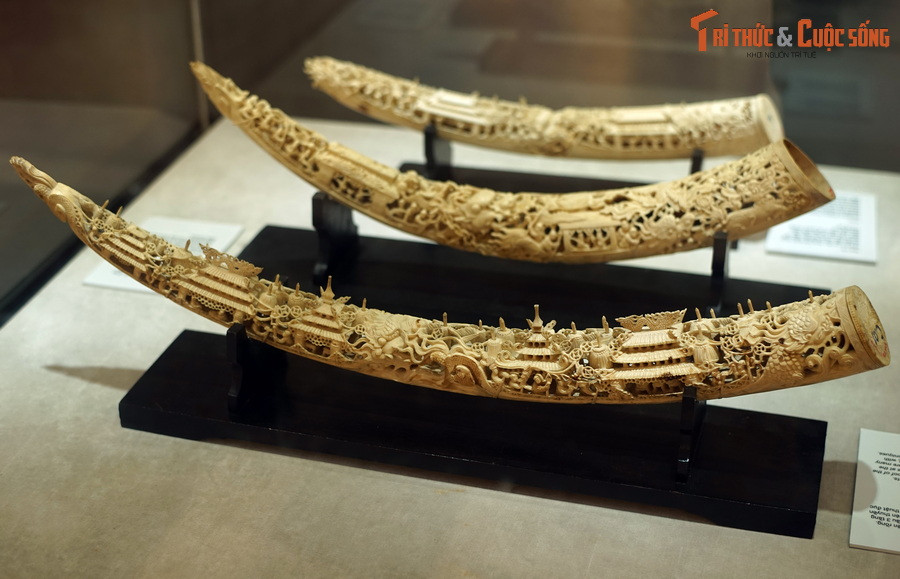 Ba chiếc ngà này có cùng một mô-típ tạo hình, thể hiện hình ảnh hai chiếc thuyền nối đuôi nhau.