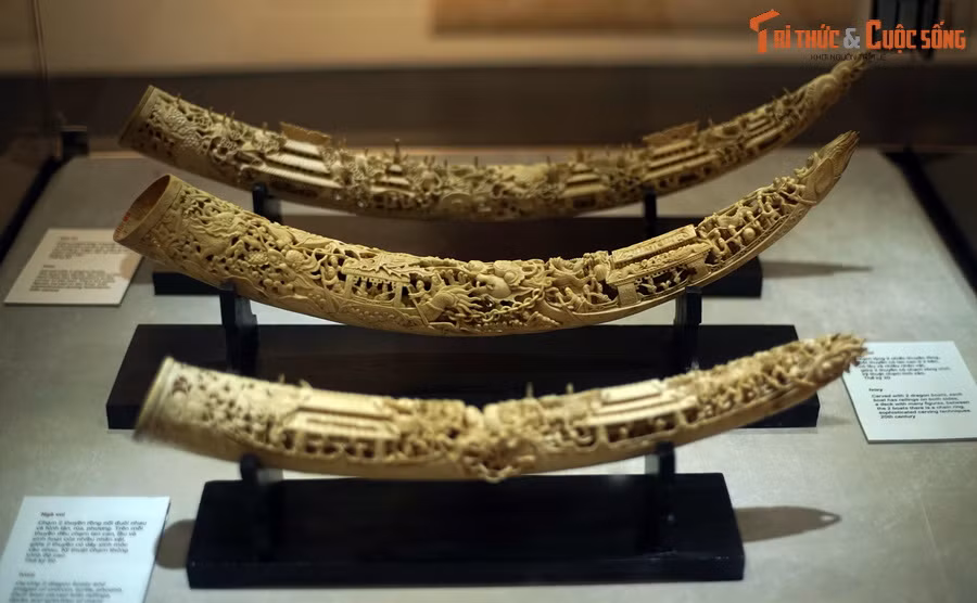 Bảo tàng Hà Nội đang lưu giữ và trưng bày ba chiếc ngà voi có tuổi đời trên dưới một thế kỷ, được chạm khắc hết sức tinh xảo.