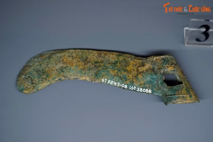 Đây là công cụ lao động được sử dụng trong sản xuất nông nghiệp và thủ công nghiệp, được tìm thấy với số lượng khá lớn ở nhiều địa điểm khác nhau. Ảnh: Lưỡi hái Đông Sơn.