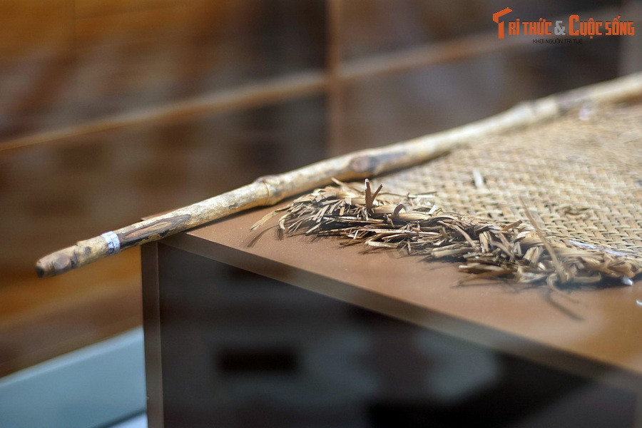 Ban tổ chức quyết định chọn ngày 10/10/1974 làm ngày xuống đường biểu tình. Nón lá, bị, gậy - các vật dụng của người ăn mày - được chuẩn bị sẵn. Các lực lượng cũng được bố trí nhiều lớp, sẵn sàng đối phó với việc bị đàn áp.