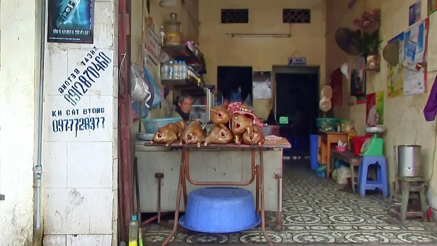 Vào năm 2021, UBND TP Hội An (Quảng Nam) đã ký kết với tổ chức Four Paws (tổ chức phúc lợi động vật toàn cầu) về cam kết loại bỏ việc sử dụng thịt chó và mèo. Đến cuối năm 2023, hàng thịt chó cuối cùng ở thành phố di sản này đã đóng cửa.