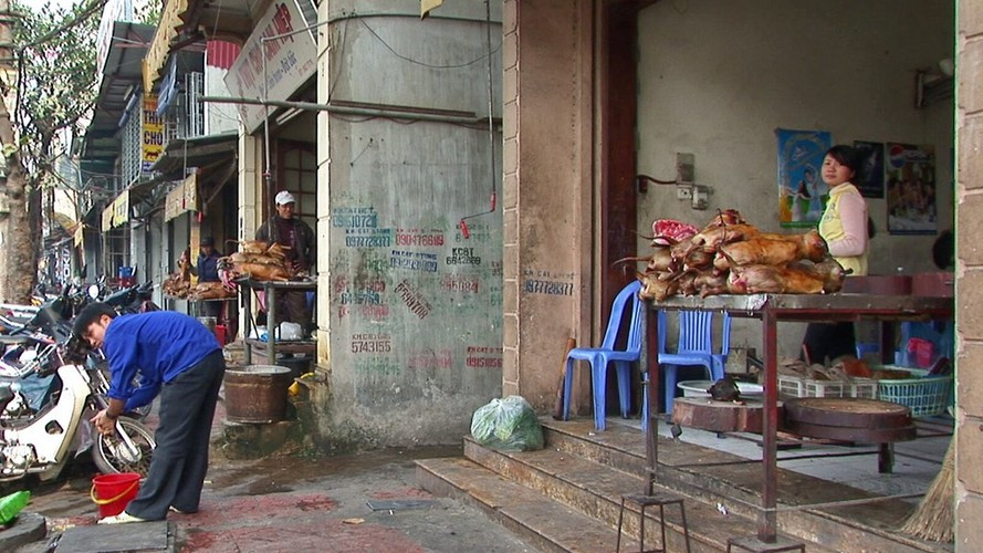 Một góc phố với nhiều cửa hàng thịt chó. Ông Manfred Sommer cũng nhắc lại chuyện người dân châu Âu từng tiêu thụ thịt chó một cách phổ biến trong những giai đoạn đói kém hoặc chiến tranh trong lịch sử.