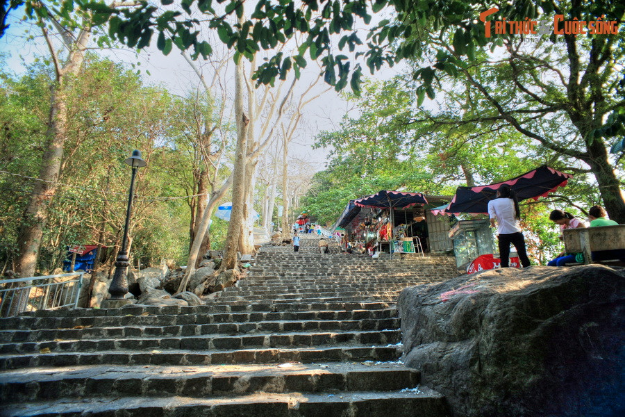 Đây là một quần thể gồm 3 núi nằm liền kề nhau là núi Heo, núi Phụng và núi Bà Đen, trong đó, đỉnh Bà Đen cao 986 mét được mệnh danh là “nóc nhà của Nam Bộ”. Ngọn núi này là điểm hành hương nổi tiếng bậc nhất mảnh đất phương Nam.