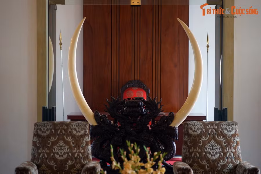 Phòng khách của Tổng thống trong Dinh Độc Lập gồm hai phòng thông nhau. Điểm nhấn của căn phòng là bộ ngà voi lớn bậc nhất Việt Nam, tạo tác từ ngà của một con voi lớn bị quân đội Sài Gòn hạ sát năm 1971.