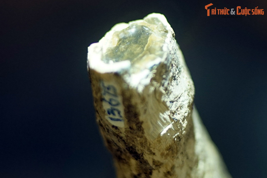 Là một dạng đá bán quý, mã não đã được con người sử dụng phổ biến trong nghệ thuật điêu khắc đá từ thời cổ đại.