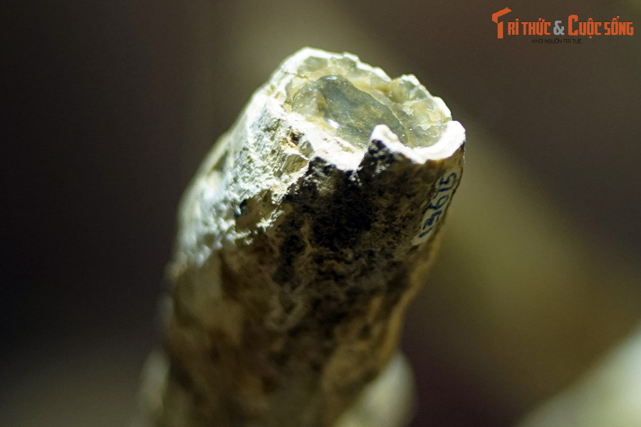 Trong những tháng ngày xa xưa đó, núi lửa hoạt động dữ dội khắp đại ngàn Tây Nguyên. Một ngày nọ, tại khu rừng nhiệt đới ở xã Chư A Thai, dung nham núi lửa phun trào với sức nóng lên đến hàng nghìn độ C.