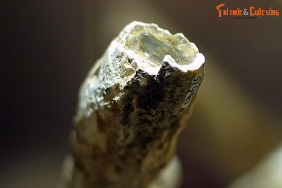 Trong những tháng ngày xa xưa đó, núi lửa hoạt động dữ dội khắp đại ngàn Tây Nguyên. Một ngày nọ, tại khu rừng nhiệt đới ở xã Chư A Thai, dung nham núi lửa phun trào với sức nóng lên đến hàng nghìn độ C.