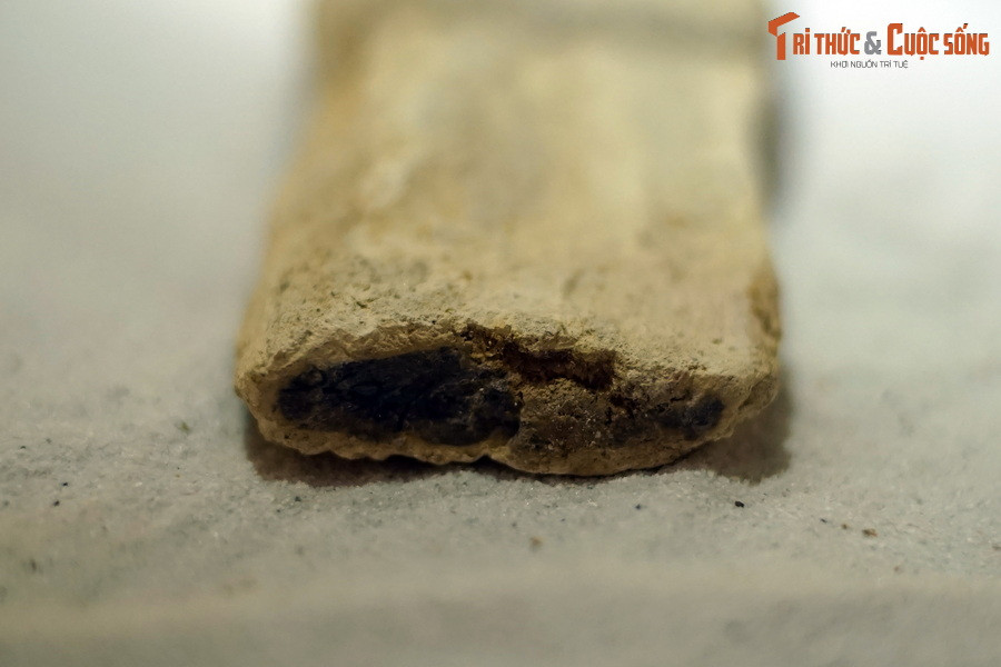 Cả khu rừng bị bao phủ bởi nhiều lớp bazan. Lá cây cháy thành tro bụi, còn lại các thân cây gỗ bị cuộn trong nham thạch núi lửa.