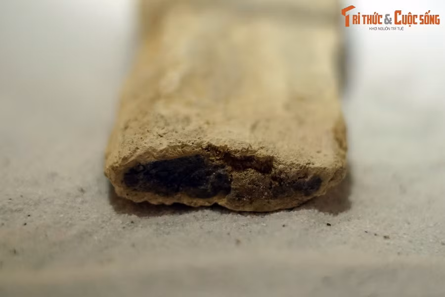 Cả khu rừng bị bao phủ bởi nhiều lớp bazan. Lá cây cháy thành tro bụi, còn lại các thân cây gỗ bị cuộn trong nham thạch núi lửa.