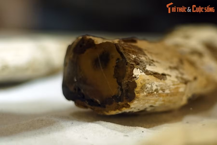 Mỏ gỗ mã não Chư A Thai đã được người dân phát hiện cách đây gần 20 năm và là mỏ gỗ mã não lớn nhất Việt Nam hiện tại.