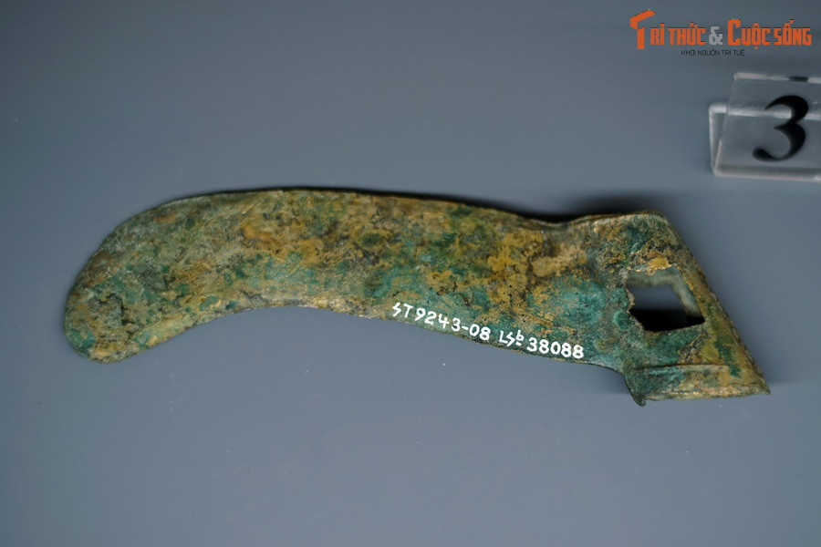 Số lượng hiện vật đồng Đông Sơn được tìm thấy lên tới hàng vạn, thuộc nhiều loại hình, đáp ứng đầy đủ mọi nhu cầu sản xuất, đời sống. Đồ dùng sinh hoạt có thạp, thố, bình, lọ, âu, ấm, muôi, thìa, bát, đĩa, đèn… Công cụ làm nông có các loại lưỡi cày, cuốc, xẻng, mai, thuổng, rừu, lưỡi hái… Ảnh: Lưỡi hái Đông Sơn.