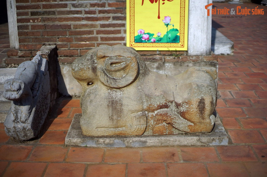 Một hôm, sư sơ ý để cả hai con đi lạc. Một con lạc đến chùa Dâu, con kia lạc đến lăng Sĩ Nhiếp (Thái thú Giao Chỉ thời đó). Sau này, dân địa phương này đã tạc tượng hai con cừu bằng đá ở nơi chúng đến để thờ.