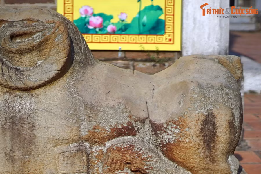 Theo một giai thoại khác thì con cừu chùa Dâu ngỗ nghịch nên bị trời phạt đánh cho sụn lưng phải quỳ ở chân tháp Hòa Phong để tu.