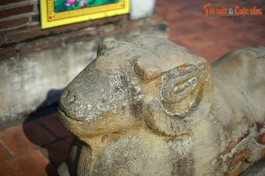 Theo đó, lúc sinh thời Sĩ Nhiếp nuôi hai con cừu rất đẹp, suốt ngày quấn quýt bên người. Khi ông qua đời cả hai con cừu không có người chăn dắt nên hư thân mất nết, thường phá hoại hoa màu của dân làng.