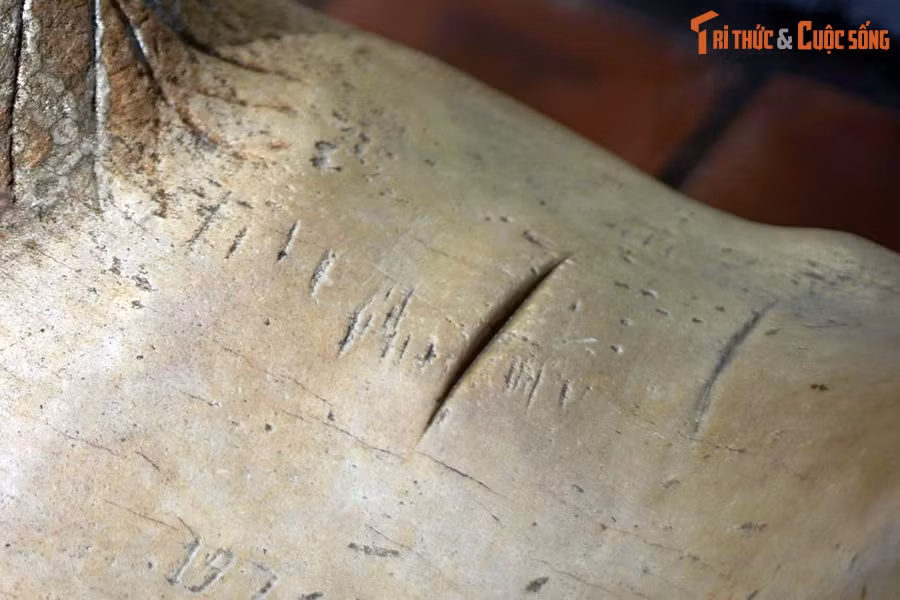 Nếu quan sát gần, con cừu ở chùa Dâu bị lõm cả đầu và lưng, nhìn kỹ thấy các vết mài rất sắc trên lưng như kiểu bị chém. Quanh dấu vết này, lại có một giai thoại khác được kể.