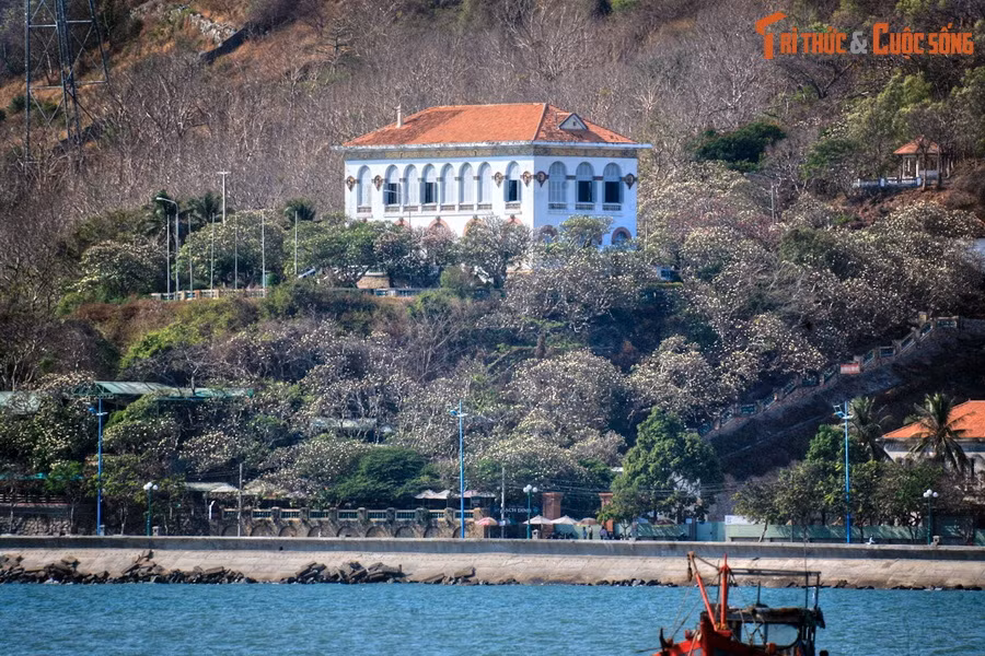  3. Miền Nam: Bạch Dinh Vũng Tàu. Bạch Dinh là một dinh thự cổ đồ sộ nằm ở phía Nam núi Lớn ở TP Vũng Tàu. Công trình nằm ở vị trí cao 27m so với mực nước biển, có ba tầng, mang đậm sắc thái kiến trúc của Pháp thời cuối thế kỷ 19.