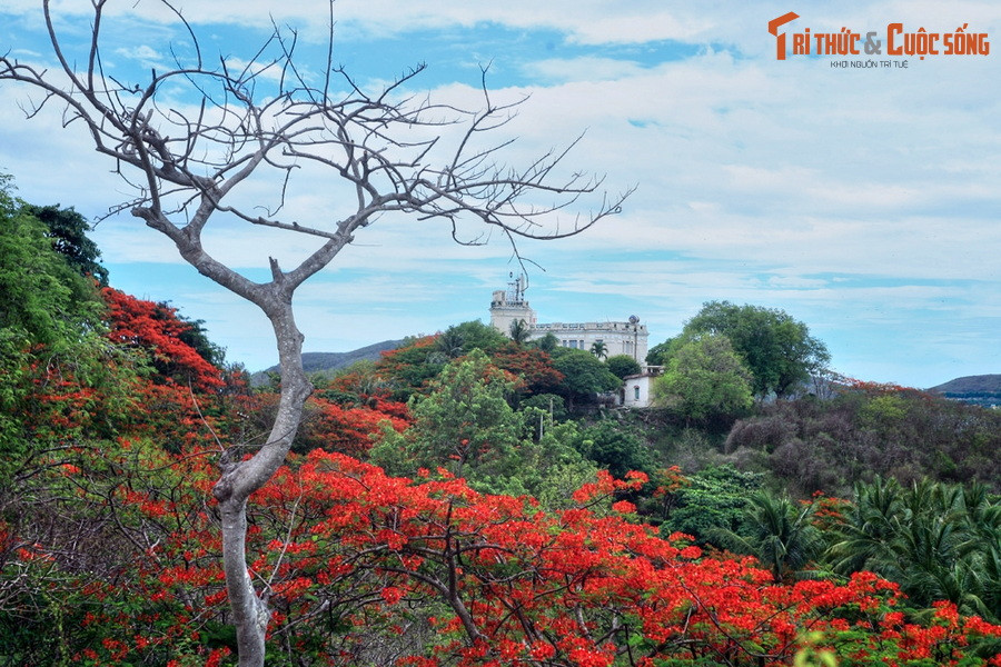  2. Miền Trung - Biệt điện Cầu Đá (Nha Trang). Lầu Bảo Đại, còn gọi là biệt điện Cầu Đá là một cụm năm toà biệt thự cổ mang dấu ấn của cựu hoàng Bảo Đại, toạ lạc trên đỉnh núi Chụt (núi Cảnh Long), thành phố Nha Trang.