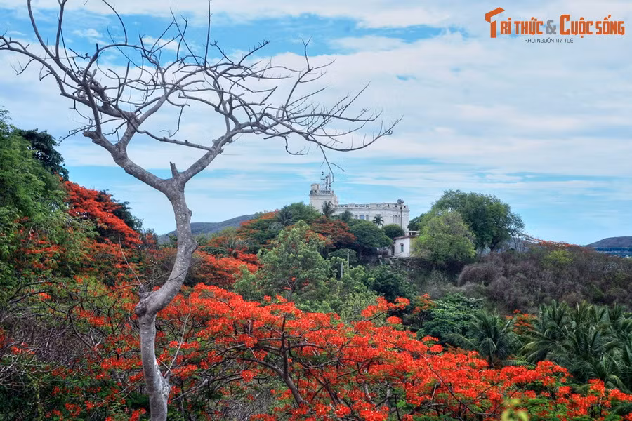  2. Miền Trung - Biệt điện Cầu Đá (Nha Trang). Lầu Bảo Đại, còn gọi là biệt điện Cầu Đá là một cụm năm toà biệt thự cổ mang dấu ấn của cựu hoàng Bảo Đại, toạ lạc trên đỉnh núi Chụt (núi Cảnh Long), thành phố Nha Trang.