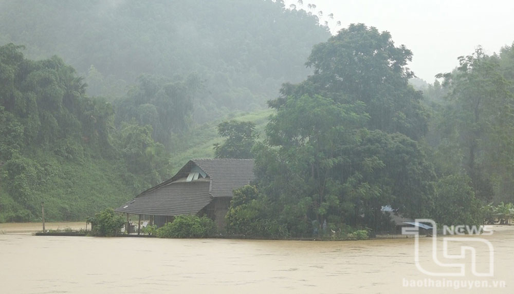 Mực nước lũ trong sông lên cao, gây ngập lụt sâu, ảnh hưởng đến sản xuất nông nghiệp, nuôi trông thủy sản và nhiều vùng dân cư của địa phương. Nguy cơ cao xảy ra lũ quét, sạt lở đất tại các huyện vùng núi và ngập úng cục bộ tại các vùng trũng, thấp ven sông. Ảnh: Nhiều nhà dân ở xã Yên Ninh bị ngập. (Nguồn: Báo Thái Nguyên)