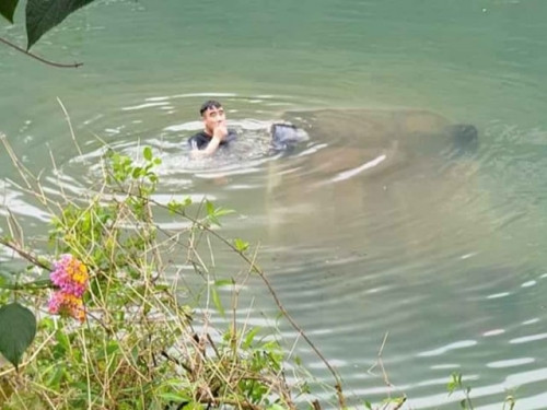 Hiện vụ nữ lái xe mất lái lao xe xuống sông, tử vong thương tâm đang được cơ quan chức năng điều tra, làm rõ. Xem thêm video: Nữ tài xế BMW gây tai nạn lĩnh 42 tháng tù. Nguồn: VTC 1.