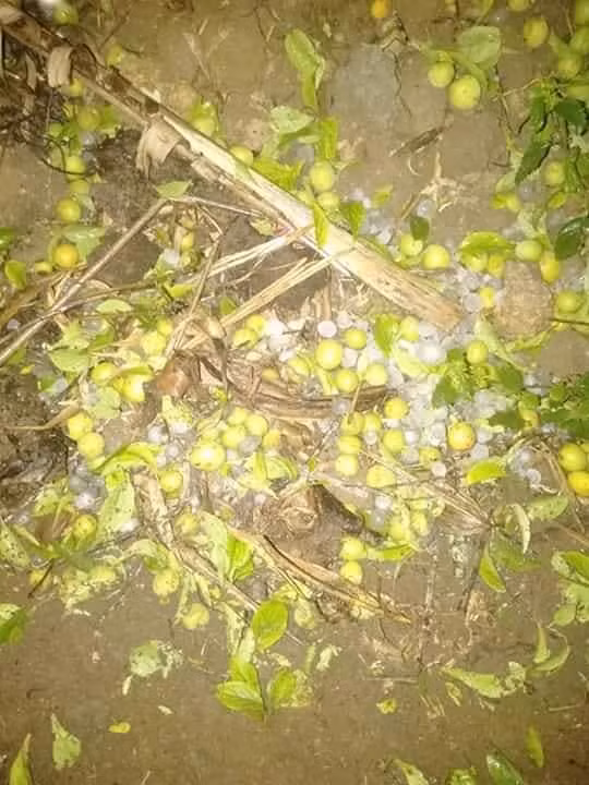 Ở Bắc Bộ trời lạnh với nền nhiệt độ thấp nhất khoảng 18-20 độ C; riêng các tỉnh vùng núi phía Bắc trời rét với nền nhiệt độ thấp nhất khoảng 15-18 độ C. Cơ quan khí tượng quốc gia cũng cảnh báo lũ quét, sạt lở đất trên khu vực các tỉnh Hà Giang, Yên Bái, Tuyên Quang, Bắc Kạn, Lào Cai. Xem thêm video: Mưa đá kinh hoàng tại Lào Cai, Yên Bái. Nguồn: VTC Now.