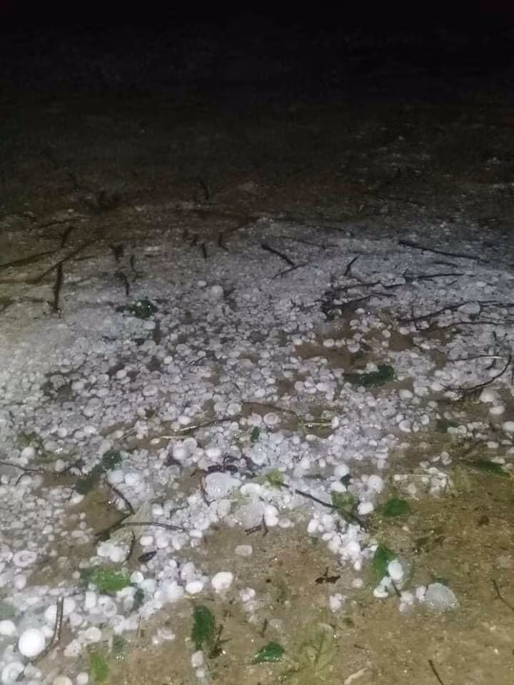 Có nơi hạt đá to như ngón chân cái. Ảnh: VOV.