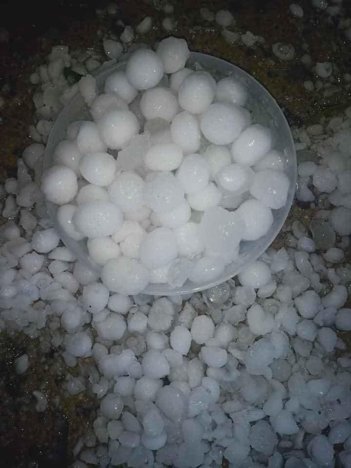 Tình trạng mưa đá cũng xảy ra tại các tỉnh Tuyên Quang, Yên Bái, Lào Cai, Lai Châu, Sơn La gây khó khăn cho người dân.