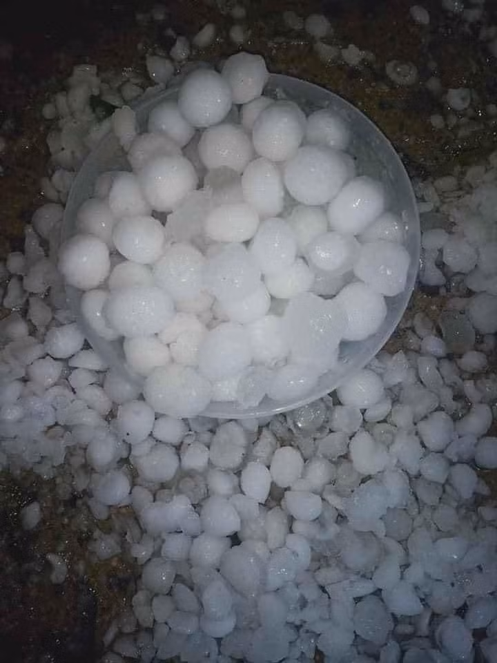 Tình trạng mưa đá cũng xảy ra tại các tỉnh Tuyên Quang, Yên Bái, Lào Cai, Lai Châu, Sơn La gây khó khăn cho người dân.