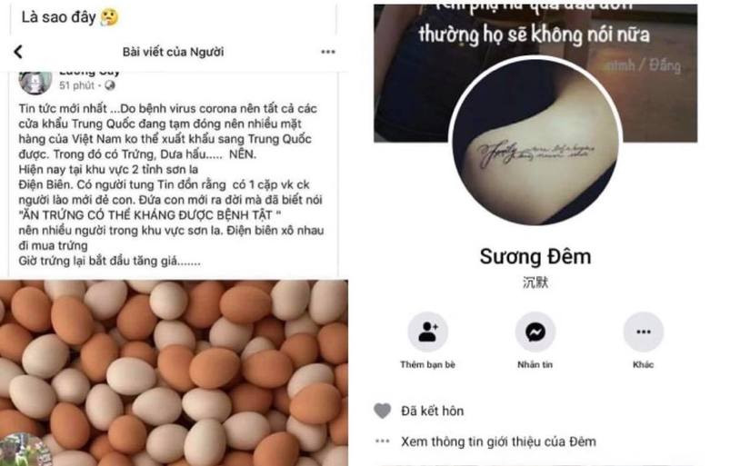 Theo đó, người phụ nữ tung tin sai sự thật là Lường Thị Lả (SN 1995), quê ở huyện Điện Biên Đông hiện lấy chồng ở tỉnh Vĩnh Phúc. Sau khi tiếp nhận thông tin cơ quan công an huyện Điện Biên Đông đã cử cán bộ trực tiếp về Vĩnh Phúc làm việc với người này.