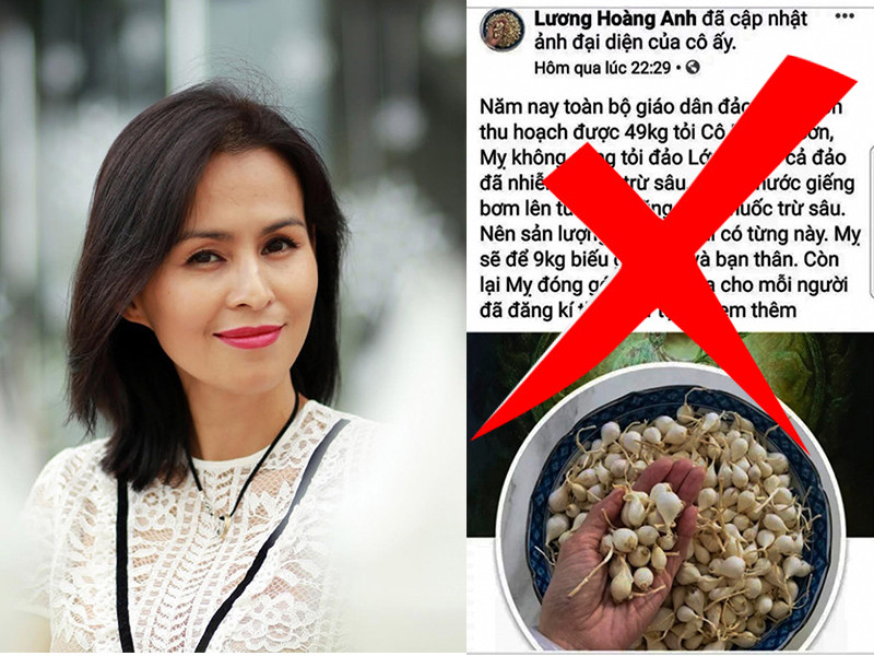 Bà Hoàng Anh bị Sở Thông tin - Truyền thông tỉnh Quảng Ngãi cáo buộc đăng nội dung "tỏi Lý Sơn nhiễm thuốc trừ sâu" sai sự thật. Do bà này sống tại TP HCM nên tỉnh Quảng Ngãi đề nghị TP phối hợp làm rõ.