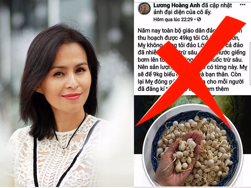 Bà Hoàng Anh bị Sở Thông tin - Truyền thông tỉnh Quảng Ngãi cáo buộc đăng nội dung "tỏi Lý Sơn nhiễm thuốc trừ sâu" sai sự thật. Do bà này sống tại TP HCM nên tỉnh Quảng Ngãi đề nghị TP phối hợp làm rõ.