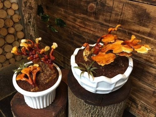 Khi trang trí trong phòng khách, bàn làm việc, chậu bonsai linh chi sẽ mang niềm vui, bình an cho gia chủ.