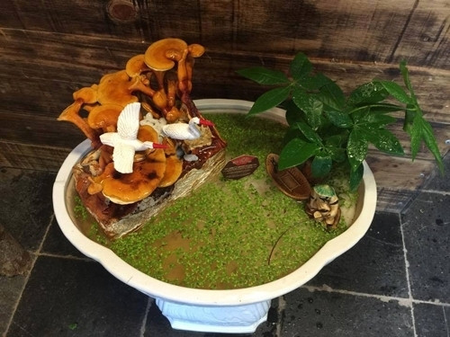 Linh chi vừa là thảo dược vừa là biểu tượng cho sự trường thọ, tài lộc, may mắn, sức khỏe.