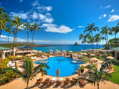 Sau khi mua đảo Lanai vào năm 2012, ông cũng sở hữu luôn hai khách sạn Four Seasons ở đó. Hai khách sạn của tỷ phú này sắp mở cửa trở lại sau nhiều năm tu sửa và cải tạo.