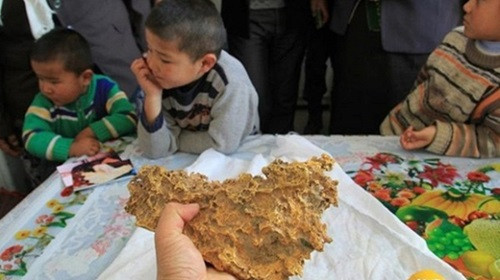 Đi chăn bò nhặt được vàng nặng gần 8 kg: Năm 2015, trong lúc chăn thả gia súc, một nông dân ở khu tự trị Tân Cương của Trung Quốc thấy cục vàng có khối lượng tới 7,85kg, dài 23 cm, rộng 18 cm và dày 8 cm. Nông dân Berek Sawut cho hay, ông phát hiện cục vàng gần như nằm lộ thiên trên mặt đất một cách "ngẫu nhiên".