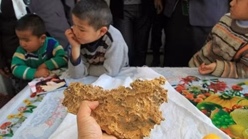 Đi chăn bò nhặt được vàng nặng gần 8 kg: Năm 2015, trong lúc chăn thả gia súc, một nông dân ở khu tự trị Tân Cương của Trung Quốc thấy cục vàng có khối lượng tới 7,85kg, dài 23 cm, rộng 18 cm và dày 8 cm. Nông dân Berek Sawut cho hay, ông phát hiện cục vàng gần như nằm lộ thiên trên mặt đất một cách "ngẫu nhiên".