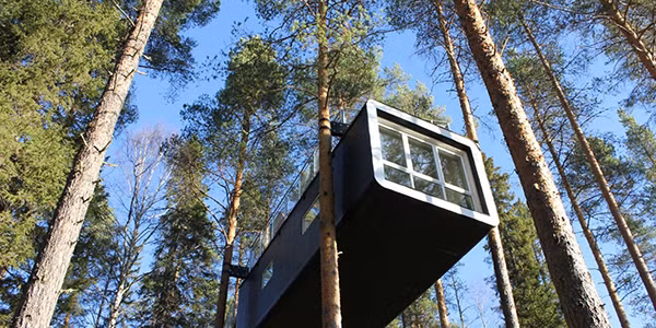 Khách sạn cây này gồm 6 căn phòng được thiết kế theo phong cách hình khối độc đáo.