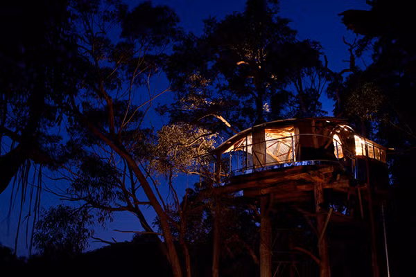 Khách sạn nhà cây Love Cabins là nơi lý tưởng để ngắm nhìn vẻ hoang sơ của dãy núi Blue Moutain.