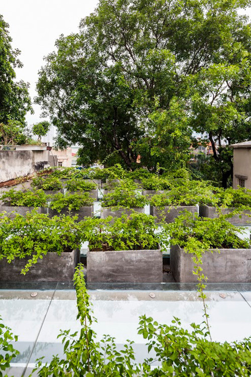 Những bồn hoa giấy được bố trí gọn gàng trên mái để giúp điều hòa không khí, góp phần giúp ngôi nhà mát mẻ hơn.