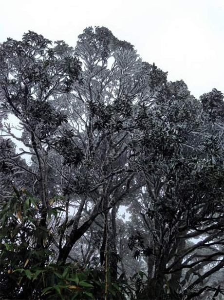 Băng giá cũng xuất hiện tại huyện Nguyên Bình (Cao Bằng).