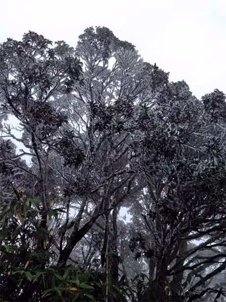 Băng giá cũng xuất hiện tại huyện Nguyên Bình (Cao Bằng).