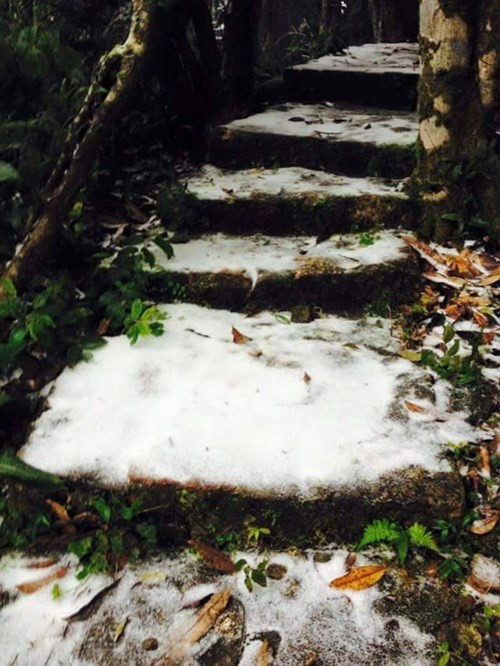 Tuy tuyết rơi không dày như ở các khu vực Sa Pa, Lào Cai, Lạng Sơn nhưng cũng đủ để chứng minh lần đầu tiên trong lịch sử băng tuyết xuất hiện tại Thủ đô.