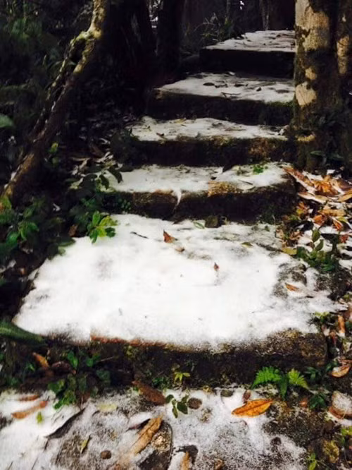 Tuy tuyết rơi không dày như ở các khu vực Sa Pa, Lào Cai, Lạng Sơn nhưng cũng đủ để chứng minh lần đầu tiên trong lịch sử băng tuyết xuất hiện tại Thủ đô.