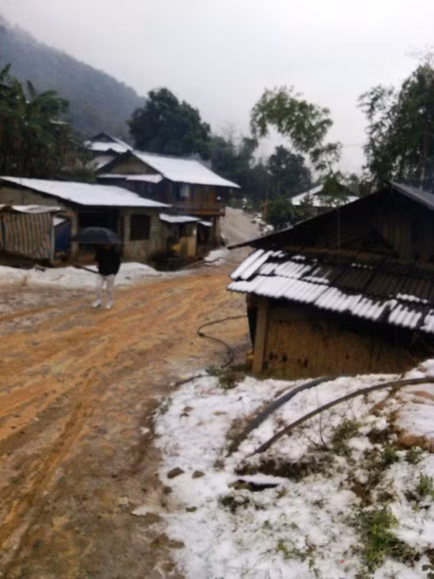 Tuyết rơi phủ trắng mái nhà của người dân Yên Bái. Ảnh: VOV.