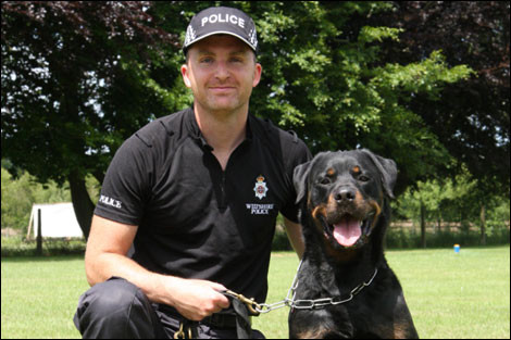 Giống chó thứ hai trong vụ 4 con chó cắn chủ là Rottweiler, Rottweiler hay còn gọi là rốt, rotti là một giống chó có nguồn gốc từ chó ngao Ý nhưng được lai tạo, ra mắt lần đầu tiên ở Đức. Giống chó Rottweiler đang trở thành thú cưng ưa thích ở nhiều thành phố lớn của Việt Nam.