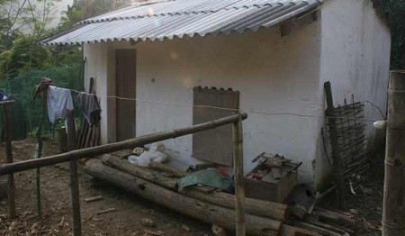 Ngôi nhà nhỏ của ông Bình giữa rừng thiêng.